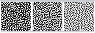 Turing Patterns in nature
